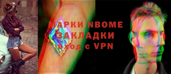 индика Абаза