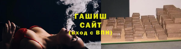 индика Абаза