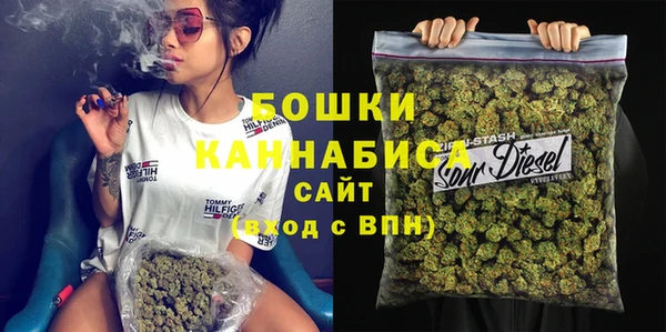 индика Абаза