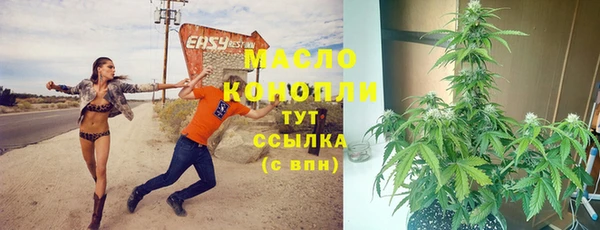 стафф Кулебаки
