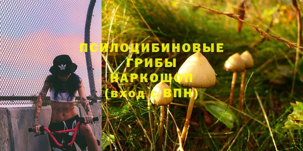 стафф Кулебаки