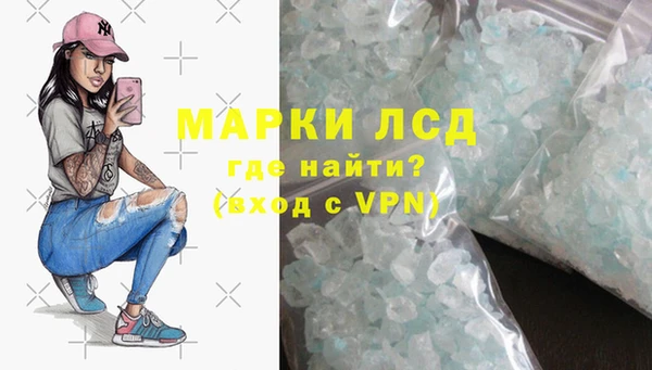 индика Абаза